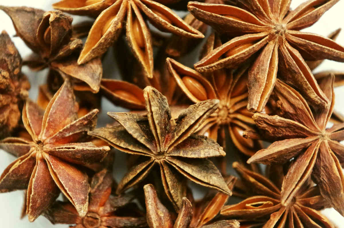 Star anise pepper fragrant | Best Polyphenol Foods And How To Get Their Full Benefit