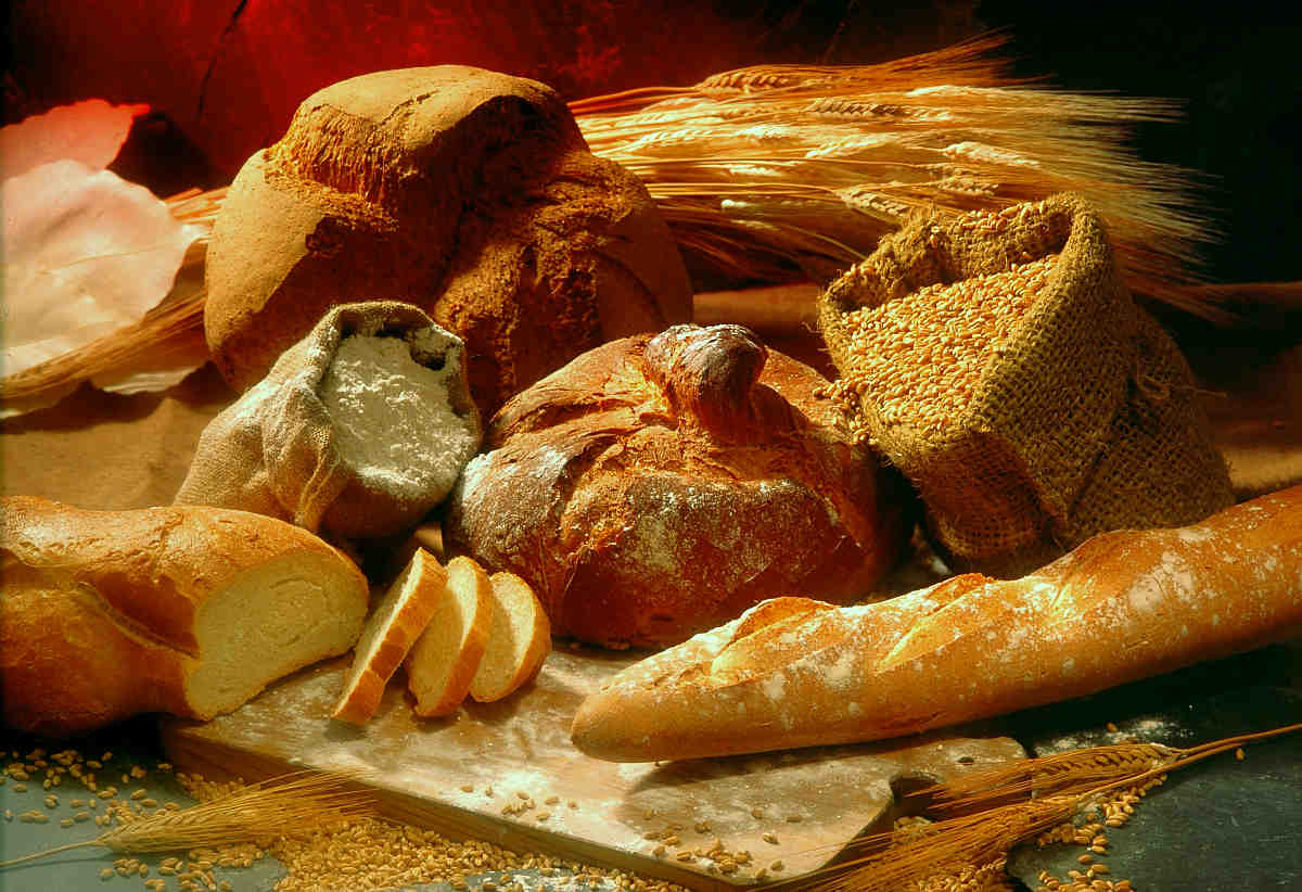 different types of bread | Foods To Exclude From Your Gut Health Diet