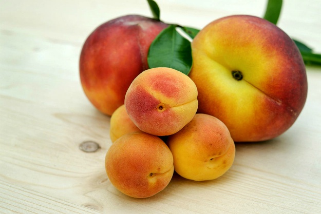 Apricots peaches | What Is Ellagic Acid? Foods That Contain Ellagic Acid