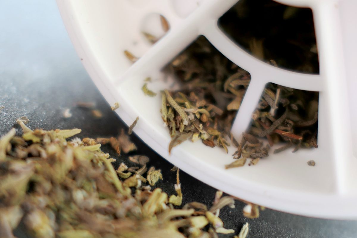 thyme herbs | Best Herbs For Memory And Concentration | best herbs for memory